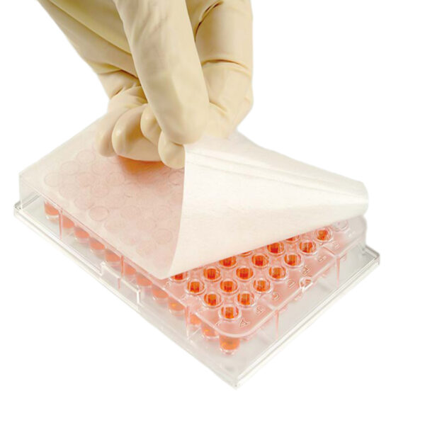 Folie zamykające do płytek PCR adhezyjne lub z aluminium