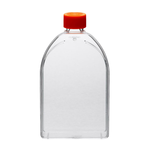 Butelki do hodowli komórkowych Corning® CellBIND - c-8540 - butelki-do-hodowli-komorkowych-corning-cellbind - zakretka-z-wentylacja - 25-cm%c2%b2 - 10-x-20-szt - 200-szt - 3289