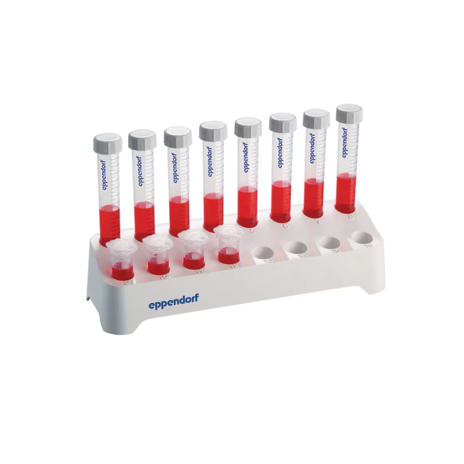 Conical Tubes - 4 Conical Tubes - 4