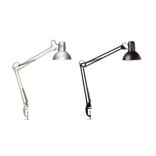 Lampy Study