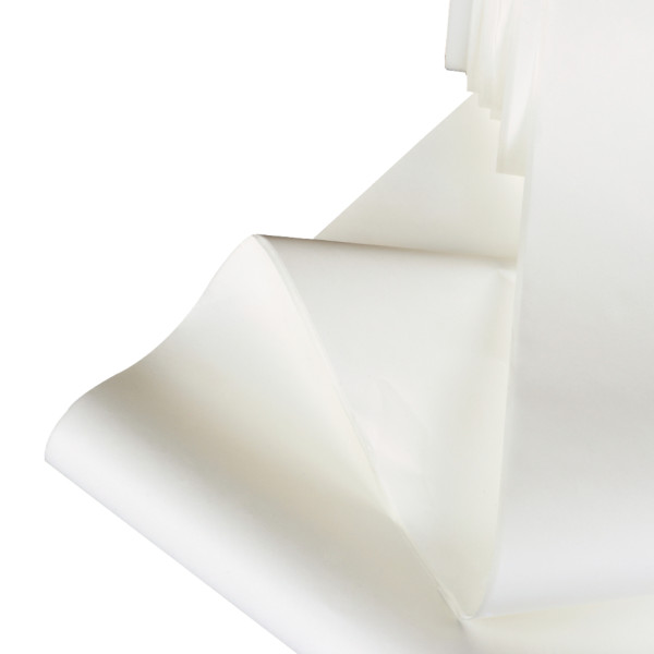 Membrany transferowe qpore - z PVDF - w rolkach