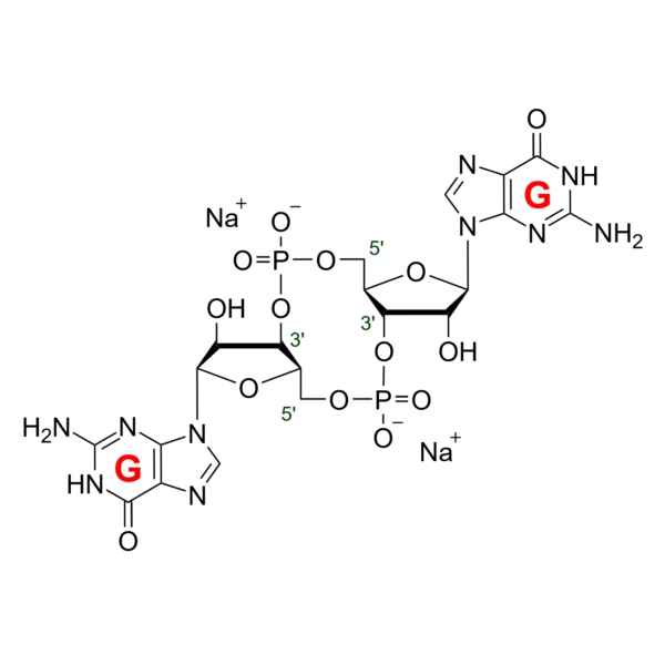 Cyclic diguanosine monophosphate (c-diGMP) - C057 - 1