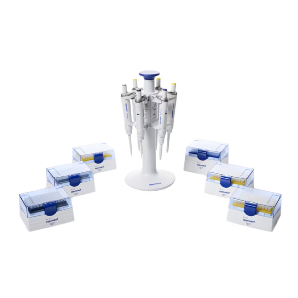 Zestaw 6 pipet Eppendorf Reference® 2 ze statywem