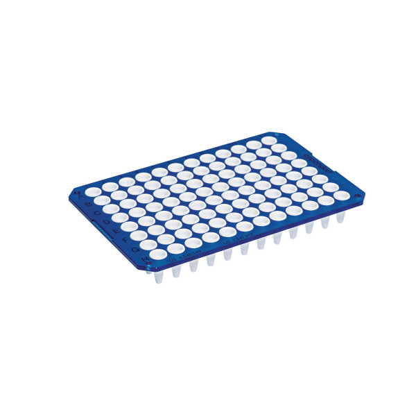 Płytki do PCR twin.tec® real-time - k-9091 - plytki-twin-tec-real-time - 96-dolkow - unskirted - niski - 150-%c2%b5l - niebieskie - pcr-clean - 0030-132-718 - worek - 20-szt