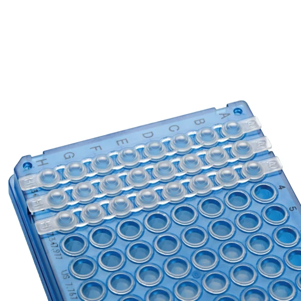 Zatyczki w paskach do probówek do PCR 8-stanowiskowe 04