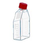 Butelki z PS do hodowli adherentnej - j-4334 - butelki-z-ps-do-hodowli-adherentnej - zakretka-z-wentylacja-i-filtrema - 75-cm%c2%b2 - 250-ml - tc-tested - 5-szt - 83-3911-002