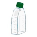 Butelki z PS do hodowli zawiesinowej - j-4353 - butelki-z-ps-do-hodowli-zawiesinowej - zakretka-dwupozycyjna-bez-filtra - 75-cm%c2%b2 - 250-ml - tc-tested - 5-szt - 83-3911-500