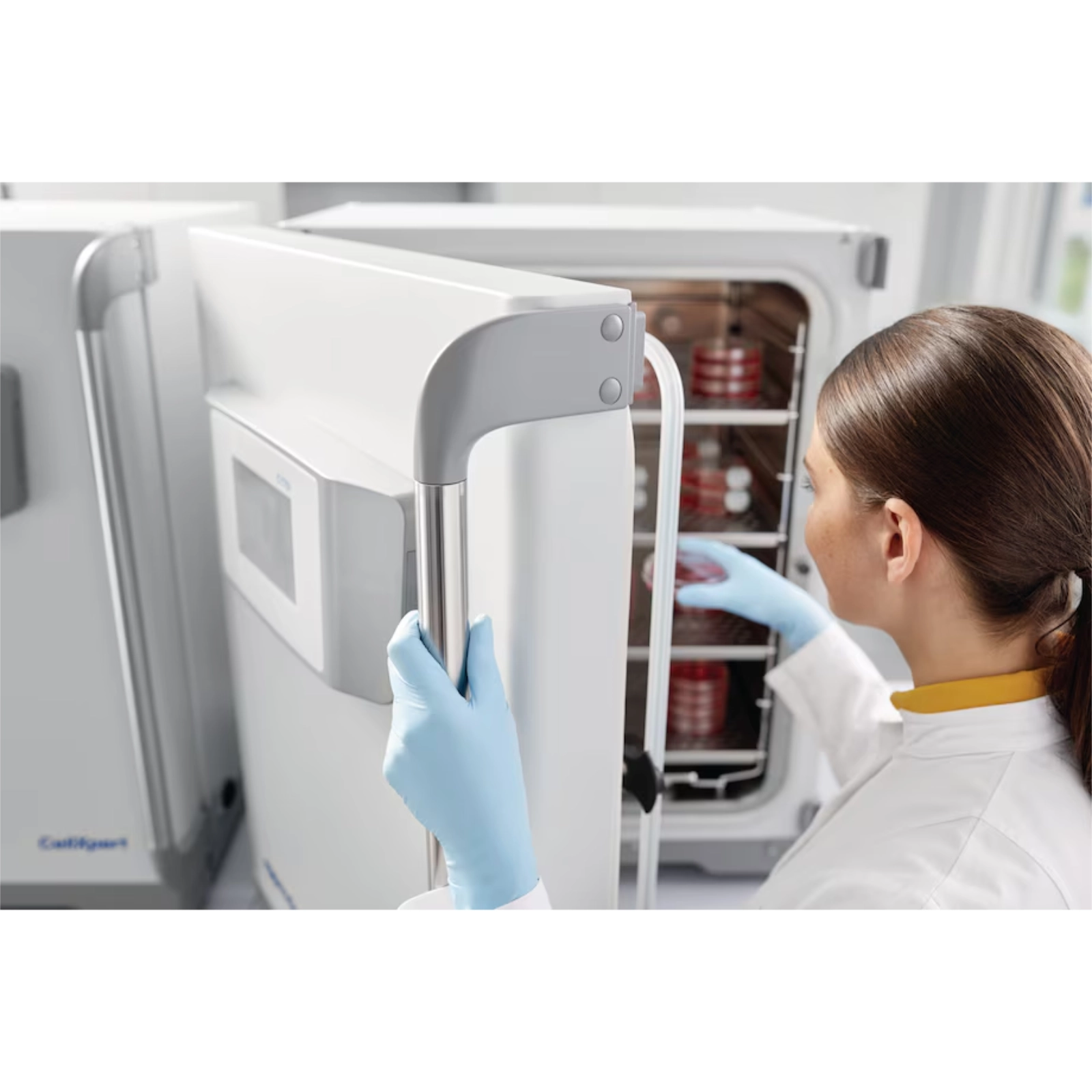 CellXpert C170i 5 CellXpert C170i 5