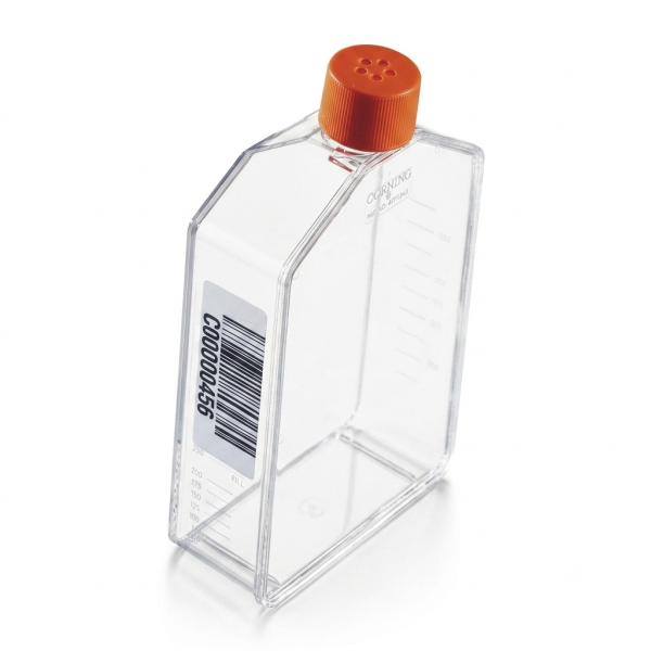 Butelki do hodowli komórkowych TC-treated - c-8570 - butelki-do-hodowli-komorkowych-kodowane-corning-tc-treated - zakretka-z-wentylacja - prostokatny - katowa - 175-cm%c2%b2 - sterylny - 12-x-7-szt - 84-szt - 431306