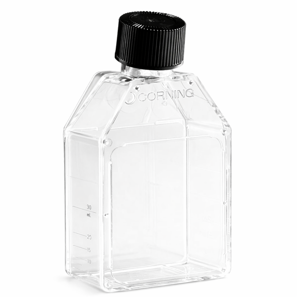 Butelki do hodowli komórkowych TC-treated - c-8562 - butelki-do-hodowli-komorkowych-corning-tc-treated - zakretka-fenolowa - prostokatny - skosna - 25-cm%c2%b2 - sterylny - 20-x-25-szt - 500-szt - 430372