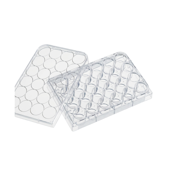 Płytki do hodowli komórkowych Costar® TC-treated z pokrywką - c-8274 - plytki-do-hodowli-komorkowych-corning-costar-tc-treated - 24-dolki - f-ksztaltne - 34-ml - przezroczysty - sterylny - 20-x-5-szt - 100-szt - 3527
