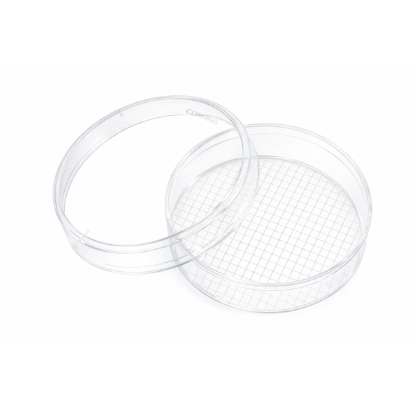 Szalki Petriego TC-treated - c-8237 - szalki-petriego-corning-tc-treated-z-kratka - 60-mm - 15-mm - sterylny - 25-x-20-szt - 500-szt - 430196